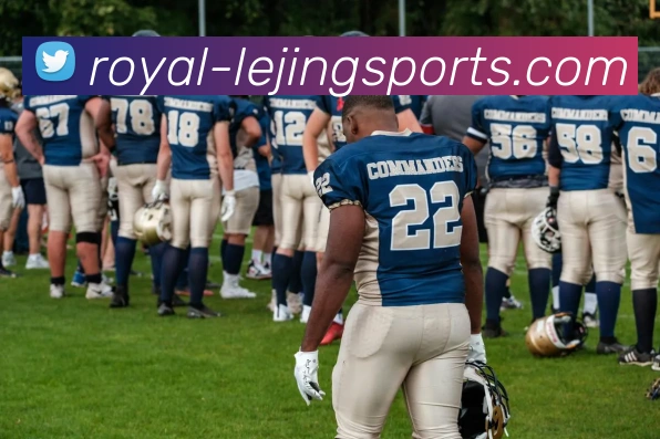 官方下载地址APP 封面图